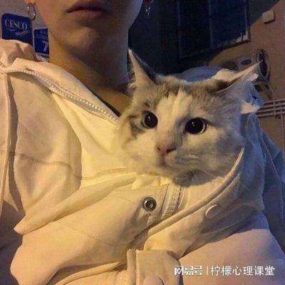 优拓中华英雄满v版下载