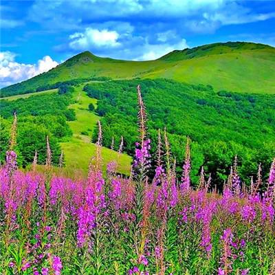 掌上手游qq飞车盒子(暂未上线)v1.1.5 最新安卓版